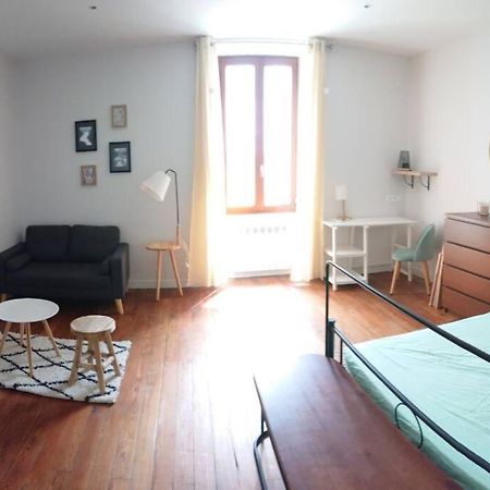 Le BEauséjour - Cosy T2 - Business ou we - gare Bellegarde-sur-Valserine Extérieur photo
